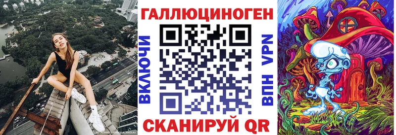 Купить где Жиздра Псилоцибиновые грибы GOLDEN TEACHER