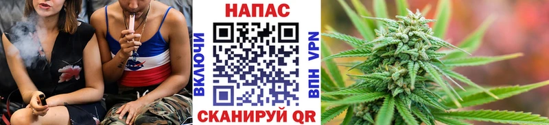 Канабис план  Купить закладки  Жиздра 